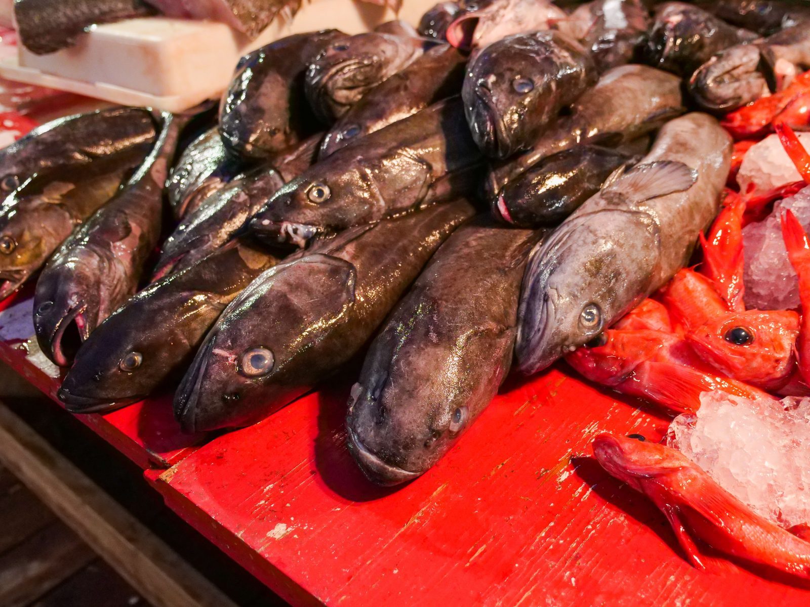 魚の鮮度を保つために